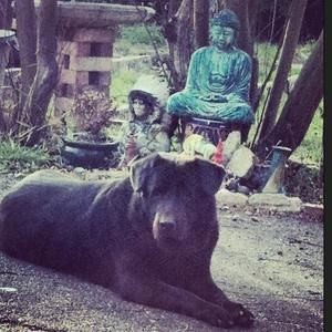 Meet your Posher, Tracy